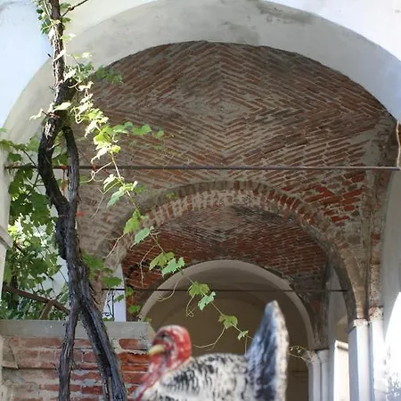 Daire Casa Leviti